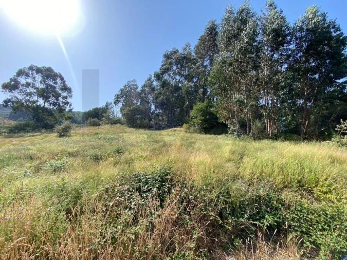 Quinta T4 para Venda em Caçarilhe e Infesta Foto 21