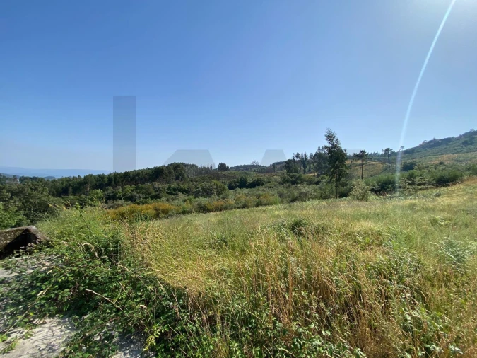 Quinta T4 para Venda em Caçarilhe e Infesta Foto 26