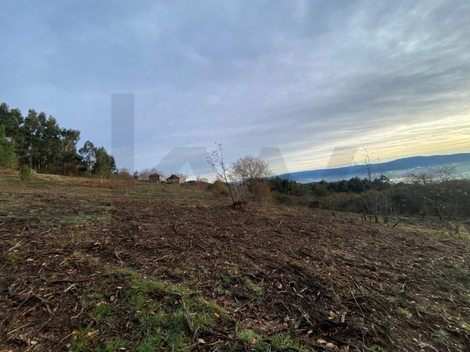 Quinta T4 para Venda em Caçarilhe e Infesta Foto 37