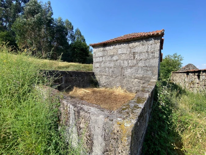 Quinta T4 para Venda em Caçarilhe e Infesta Foto 9