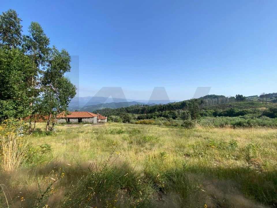 Quinta T4 para Venda em Caçarilhe e Infesta Foto 30