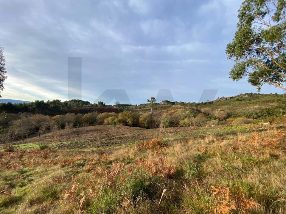 Quinta T4 para Venda em Caçarilhe e Infesta Foto 41