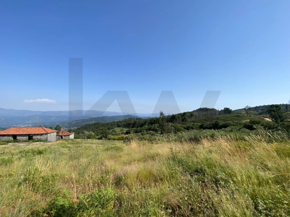 Quinta T4 para Venda em Caçarilhe e Infesta Foto 27