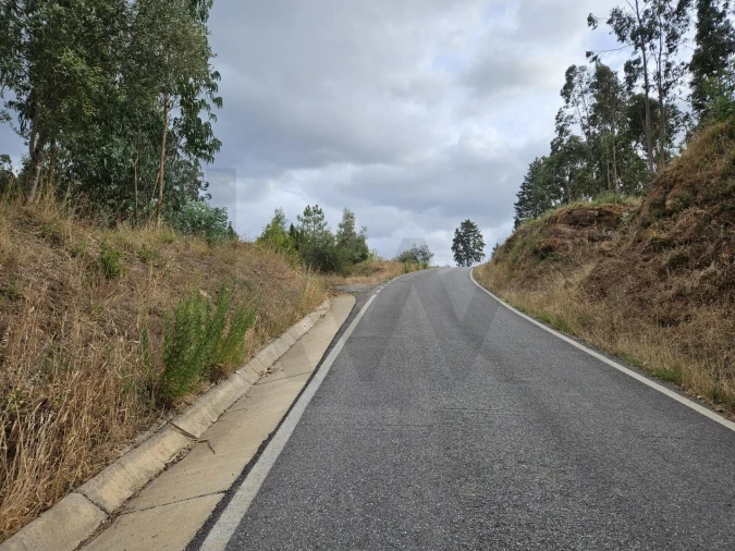 Terreno para Venda em Brasfemes Foto 18