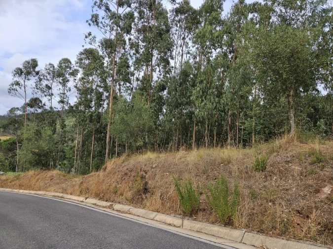 Terreno para Venda em Brasfemes Foto 17