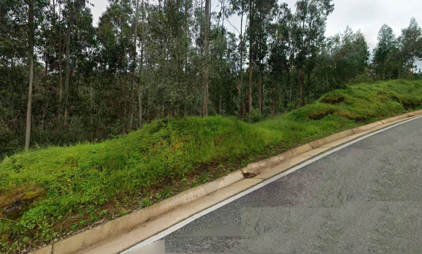 Terreno para Venda em Brasfemes Foto 19