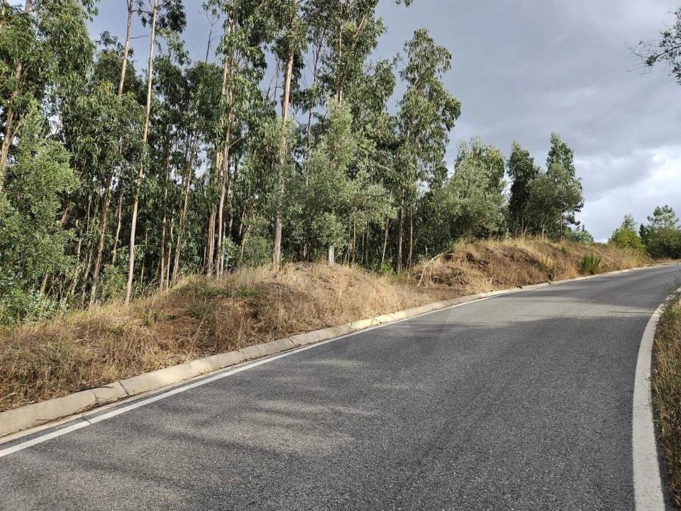 Terreno para Venda em Brasfemes Foto 16