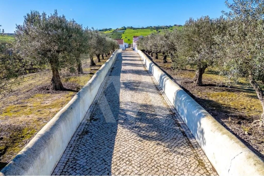 Quinta T10 para Venda em Castanheira do Ribatejo e Cachoeiras Foto 3