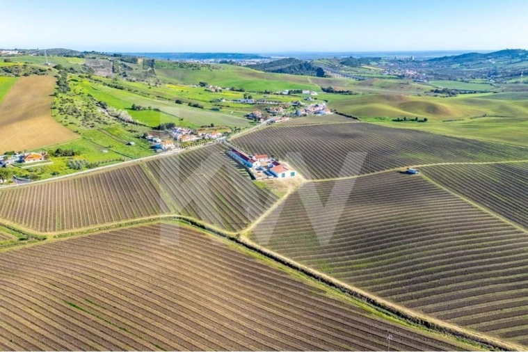 Quinta T10 para Venda em Castanheira do Ribatejo e Cachoeiras Foto 89