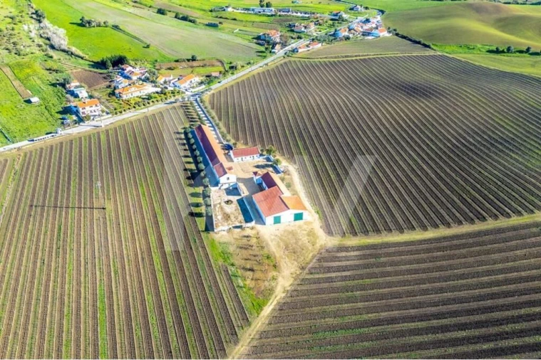 Quinta T10 para Venda em Castanheira do Ribatejo e Cachoeiras Foto 85