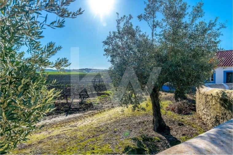 Quinta T10 para Venda em Castanheira do Ribatejo e Cachoeiras Foto 4