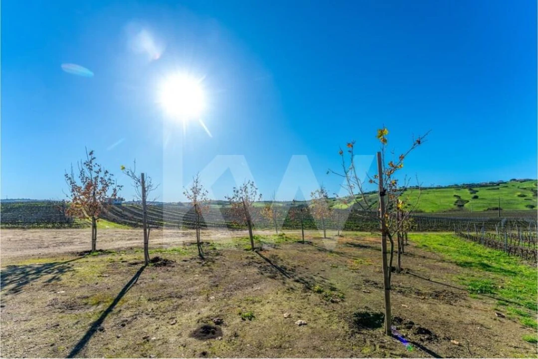 Quinta T10 para Venda em Castanheira do Ribatejo e Cachoeiras Foto 33