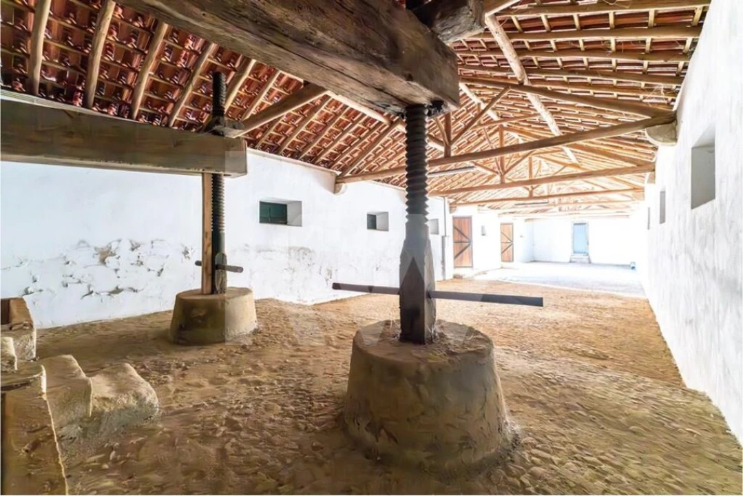 Quinta T10 para Venda em Castanheira do Ribatejo e Cachoeiras Foto 57