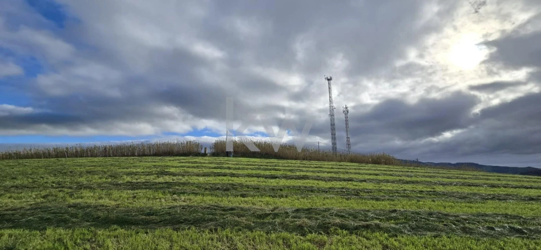 Terreno para Venda em Ribeirinha Foto 7