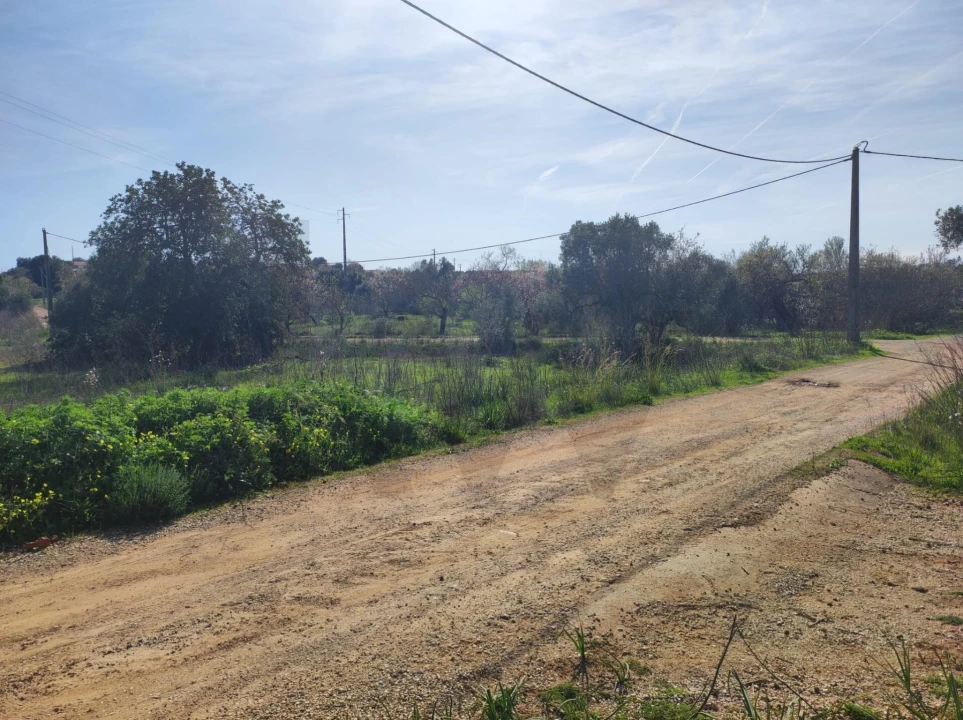 Terreno para Venda em São Bartolomeu de Messines Foto 5