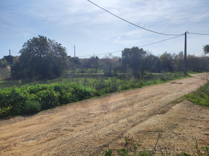 Terreno para Venda em São Bartolomeu de Messines Foto 5