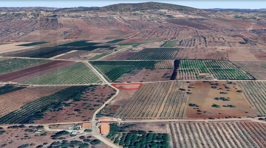 Terreno para Venda em São Bartolomeu de Messines Foto 12