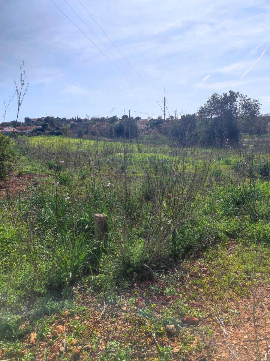Terreno para Venda em São Bartolomeu de Messines Foto 7
