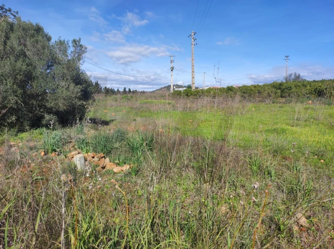 Terreno para Venda em São Bartolomeu de Messines Foto 1