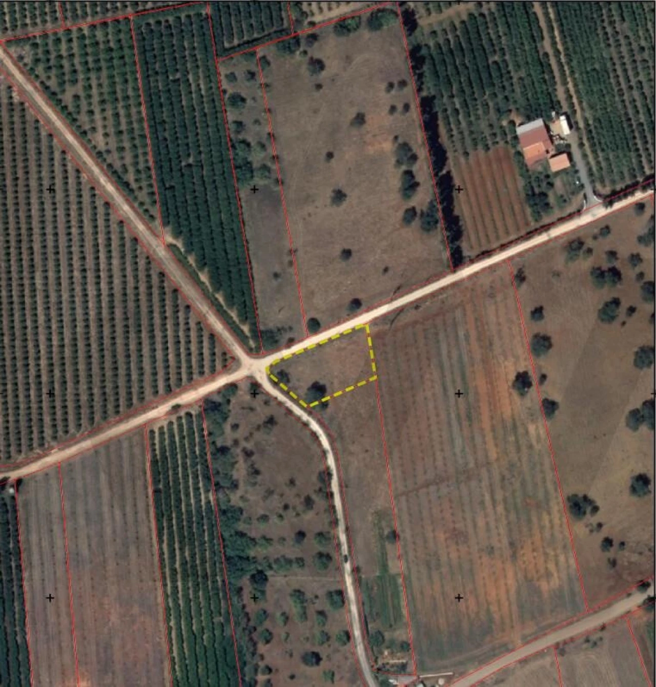 Terreno para Venda em São Bartolomeu de Messines Foto 15