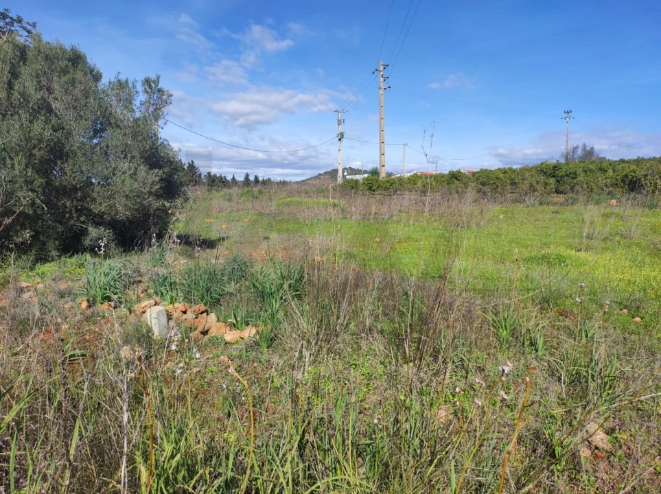 Terreno para Venda em São Bartolomeu de Messines Foto 1