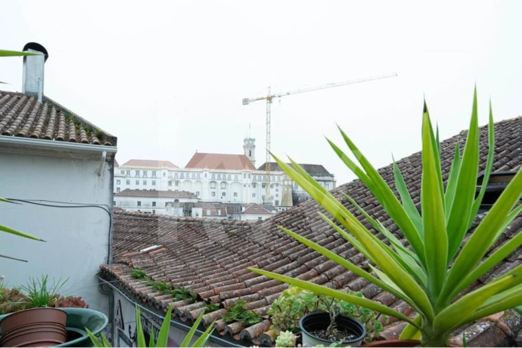 Prédio para Venda em São Martinho do Bispo e Ribeira de Frades Foto 11