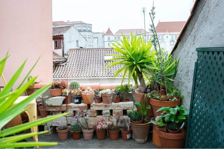 Prédio para Venda em São Martinho do Bispo e Ribeira de Frades Foto 25
