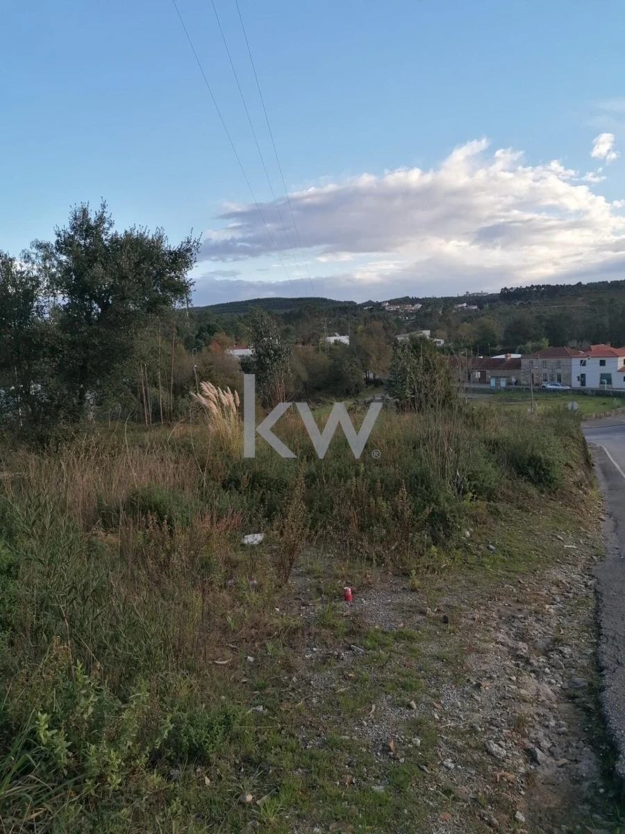 Terreno para Venda em Folgosa Foto 3