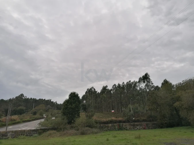 Terreno para Venda em Folgosa Foto 4