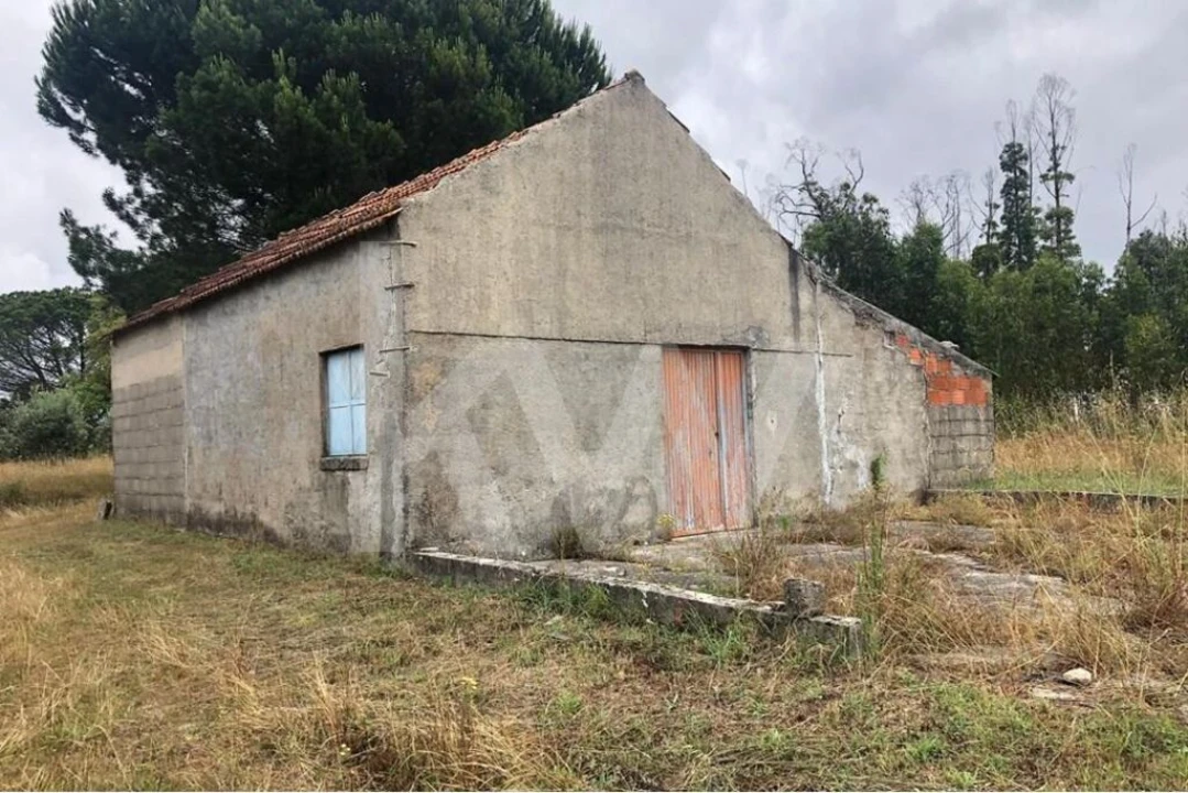 Terreno para Venda em Seixo da Beira Foto 8