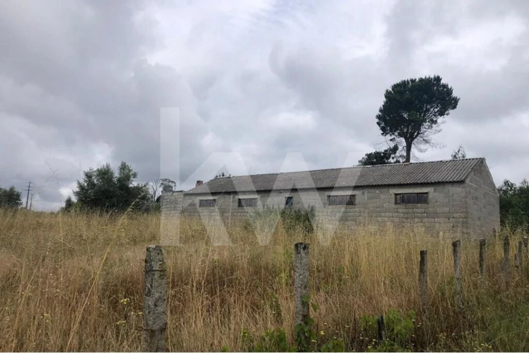 Terreno para Venda em Seixo da Beira Foto 5