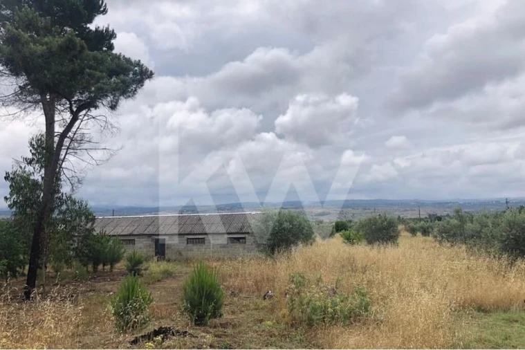 Terreno para Venda em Seixo da Beira Foto 6