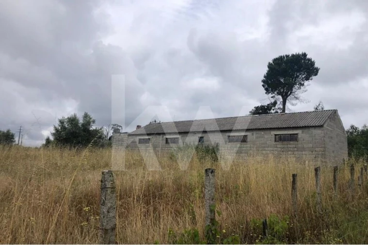 Terreno para Venda em Seixo da Beira Foto 5