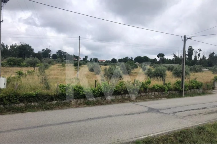Terreno para Venda em Seixo da Beira Foto 3