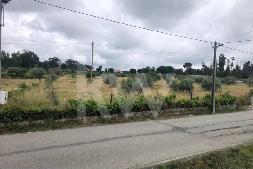 Terreno para Venda em Seixo da Beira Foto 3