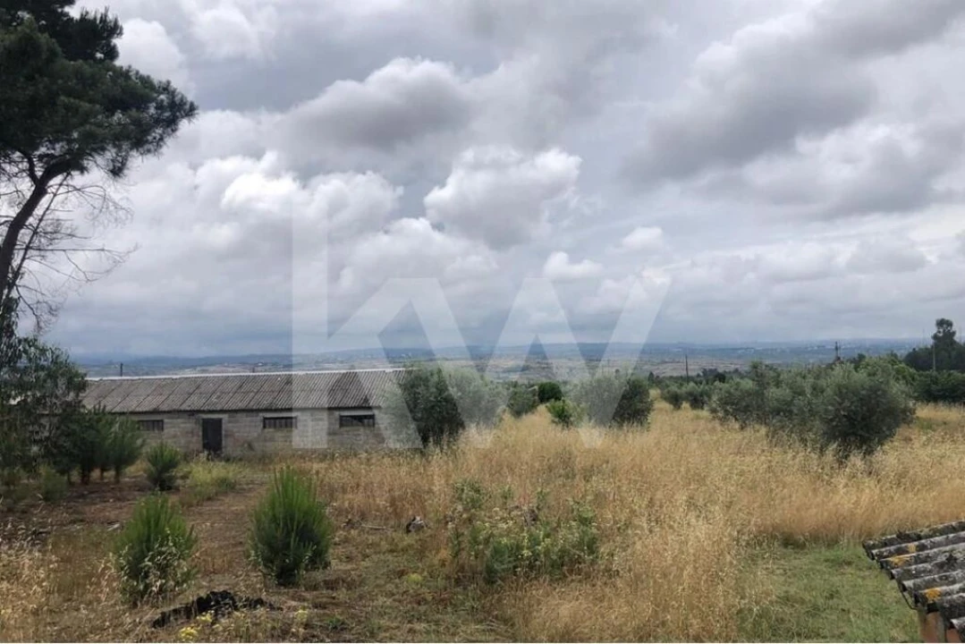 Terreno para Venda em Seixo da Beira Foto 7