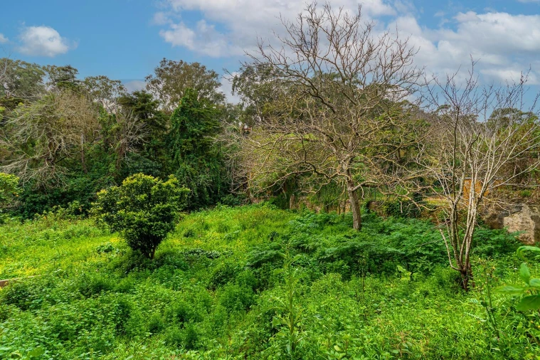 Quinta T5 para Venda em Barcarena Foto 12