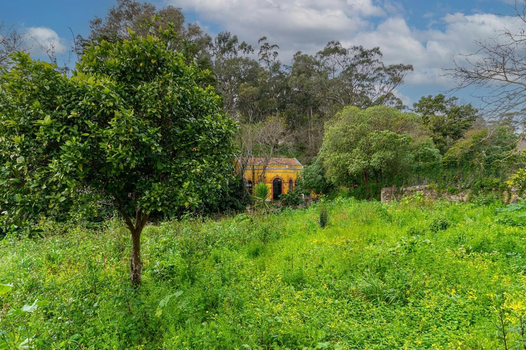 Quinta T5 para Venda em Barcarena Foto 11