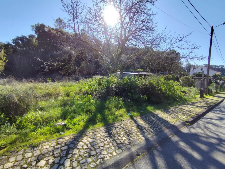 Terreno para Venda em Sé Nova, Santa Cruz, Almedina e São Bartolomeu Foto 2