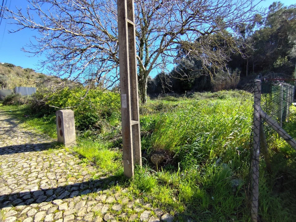 Terreno para Venda em Sé Nova, Santa Cruz, Almedina e São Bartolomeu Foto 3