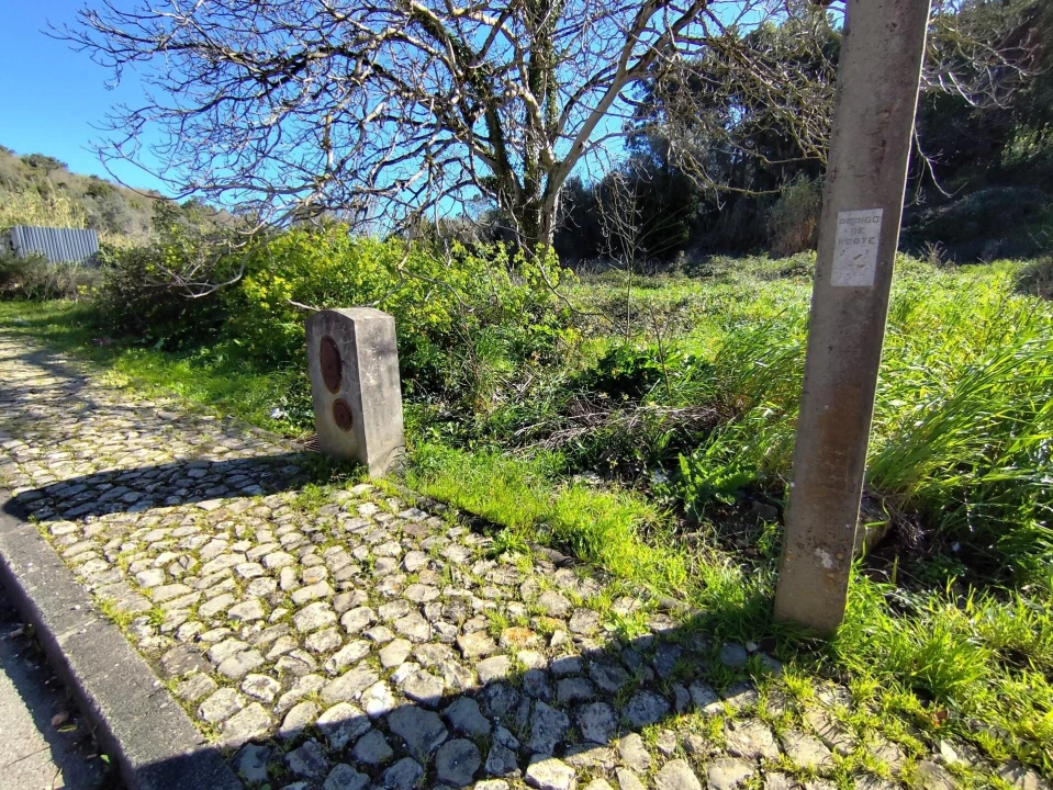 Terreno para Venda em Sé Nova, Santa Cruz, Almedina e São Bartolomeu Foto 4