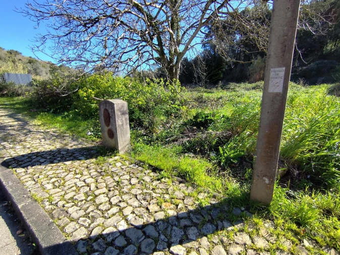 Terreno para Venda em Sé Nova, Santa Cruz, Almedina e São Bartolomeu Foto 4