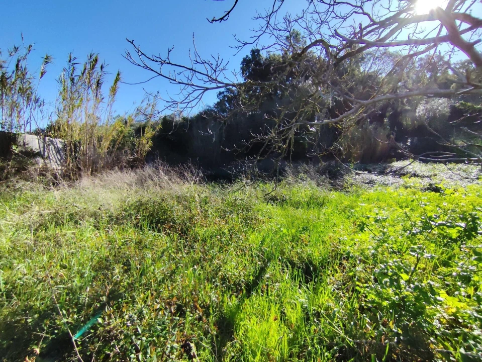 Terreno para Venda em Sé Nova, Santa Cruz, Almedina e São Bartolomeu Foto 5