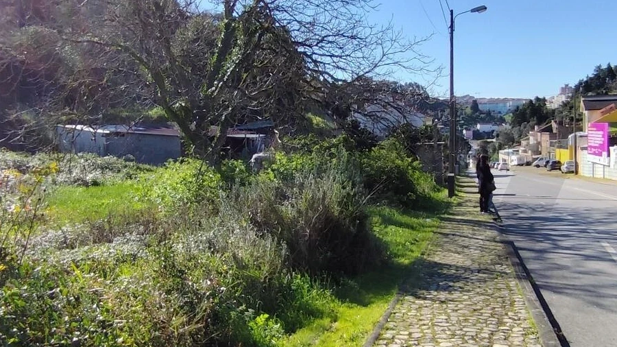 Terreno para Venda em Sé Nova, Santa Cruz, Almedina e São Bartolomeu