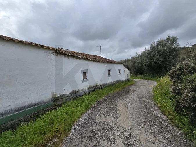Quinta T2 para Venda em São Manços e São Vicente do Pigeiro Foto 3