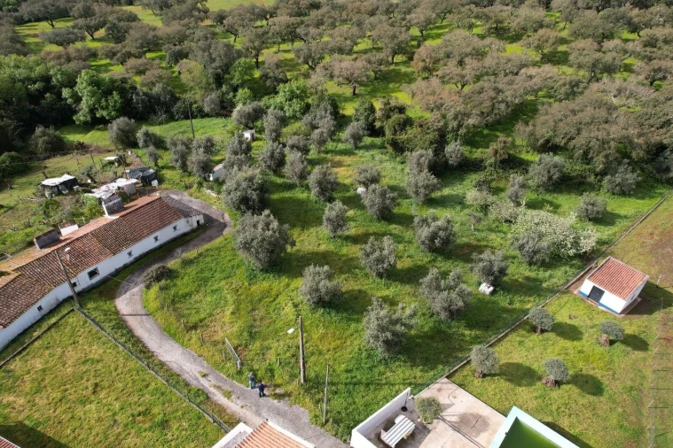 Quinta T2 para Venda em São Manços e São Vicente do Pigeiro Foto 22