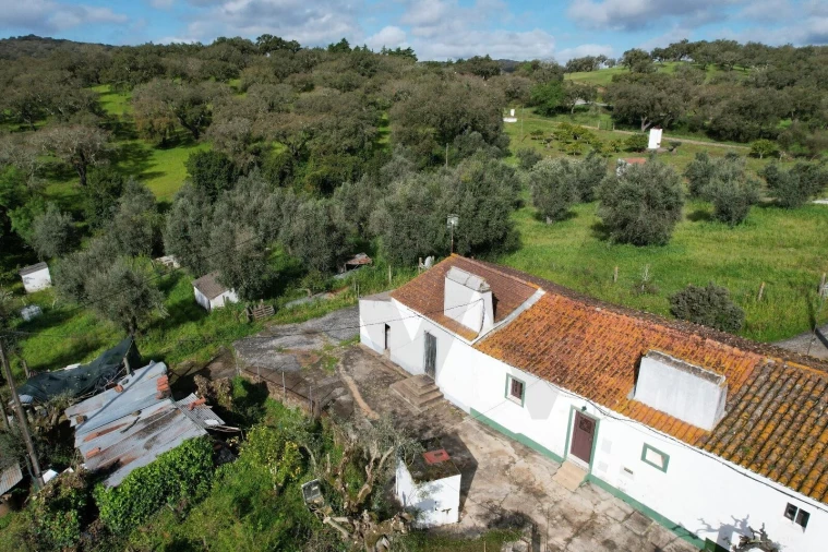 Quinta T2 para Venda em São Manços e São Vicente do Pigeiro Foto 23