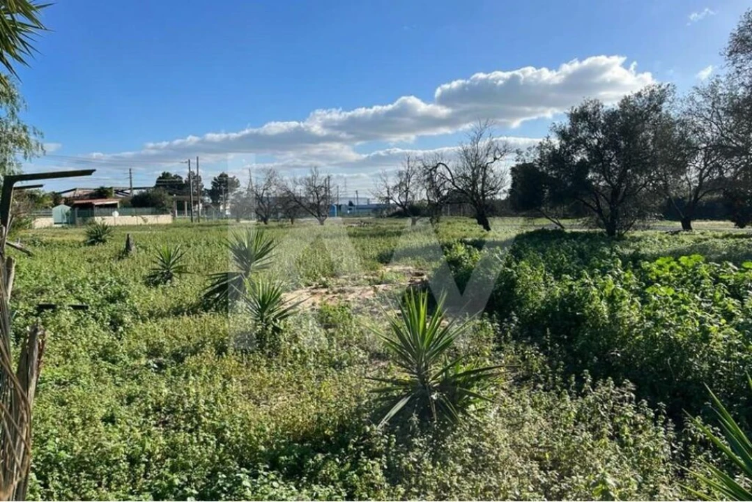 Terreno para Venda em Samora Correia Foto 8