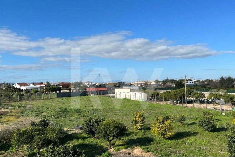 Terreno para Venda em Samora Correia Foto 2