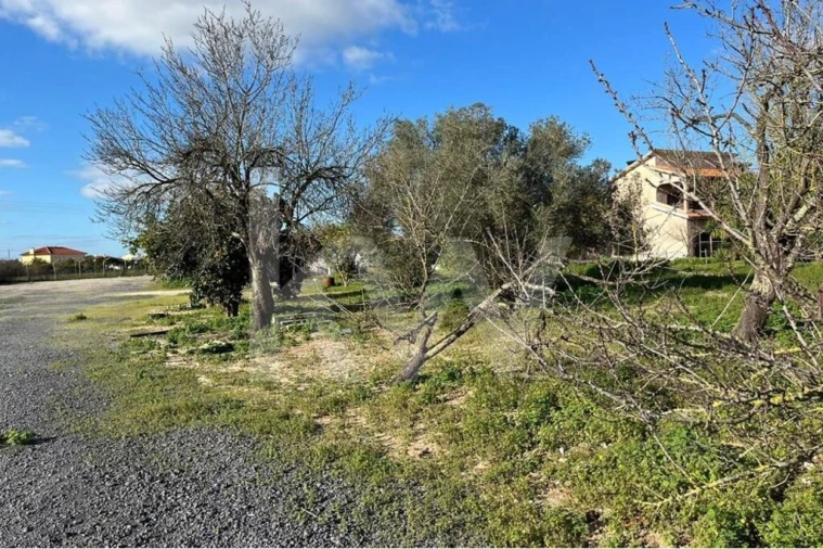 Terreno para Venda em Samora Correia Foto 10